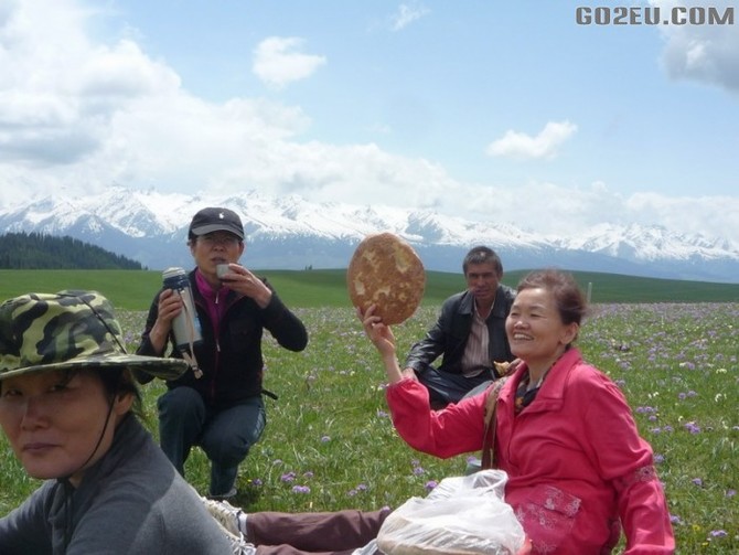 四位退休<em>姐妹</em>十四天新疆伊犁河谷<em>看</em>花之旅园满