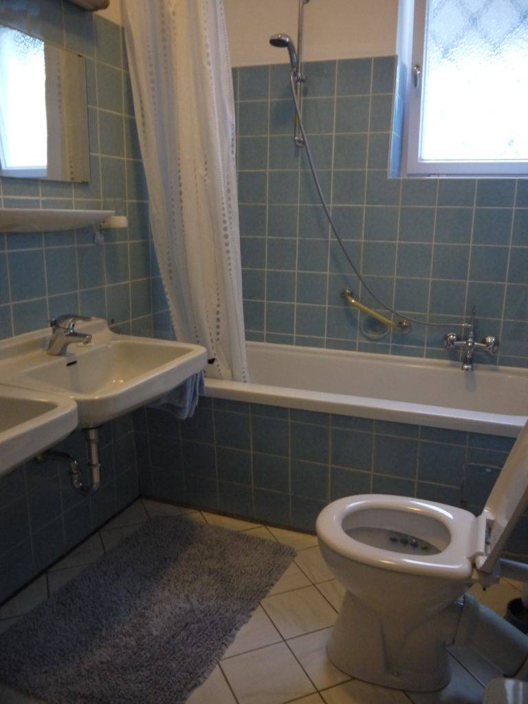 冬游南德奥地利回归(天鹅堡-国王湖-哈尔施塔特