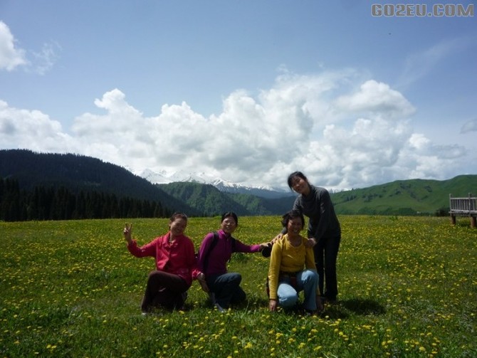 四位退休<em>姐妹</em>十四天新疆伊犁河谷<em>看</em>花之旅园满