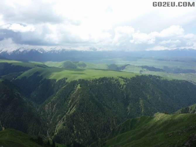 四位退休<em>姐妹</em>十四天新疆伊犁河谷<em>看</em>花之旅园满