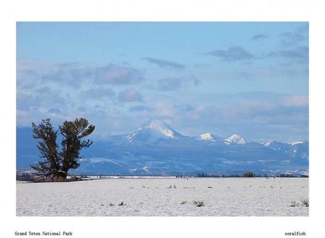 星空下的美利坚之黄石、大蒂顿国家公园 - 美国