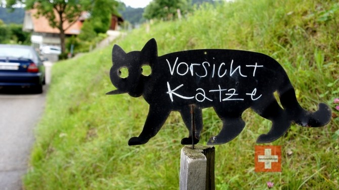 『『瑞士德语&罗曼语区8日』』 - 瑞士\/列支敦士登