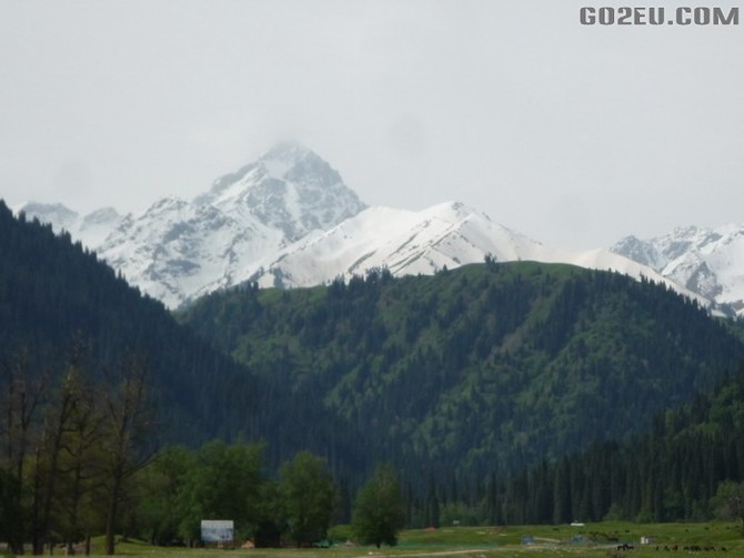 四位退休<em>姐妹</em>十四天新疆伊犁河谷<em>看</em>花之旅园满