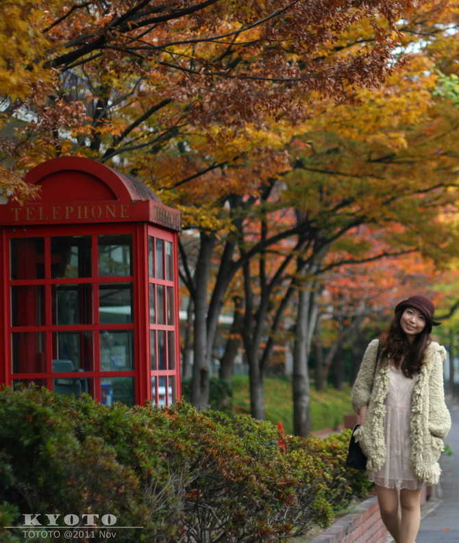 在日本的十四天 大阪-京都-奈良-东京 - 日本\/韩
