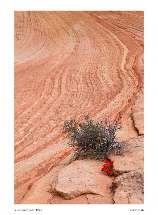 星空下的美利坚之锡安、羚羊谷、大峡谷国家公