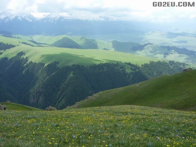 四位退休<em>姐妹</em>十四天新疆伊犁河谷<em>看</em>花之旅园满