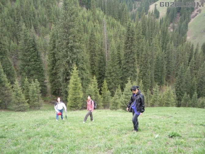 四位退休<em>姐妹</em>十四天新疆伊犁河谷<em>看</em>花之旅园满