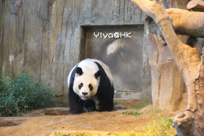 【香港三天两夜游】带你体验不一样的香港--H