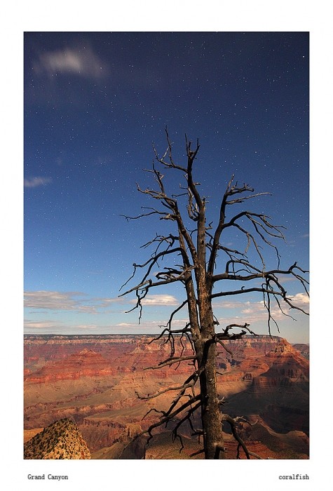 星空下的美利坚之锡安、羚羊谷、大峡谷国家公