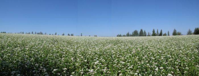 北京出发内蒙锡林郭勒赤峰和承德3天自驾游经