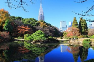 新宿御苑景点观光攻略 新宿御苑地址 新宿御苑门票查询预订 穷游网