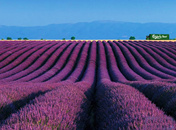 小小背包客的旅行游记