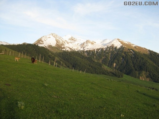 四位退休<em>姐妹</em>十四天新疆伊犁河谷<em>看</em>花之旅园满