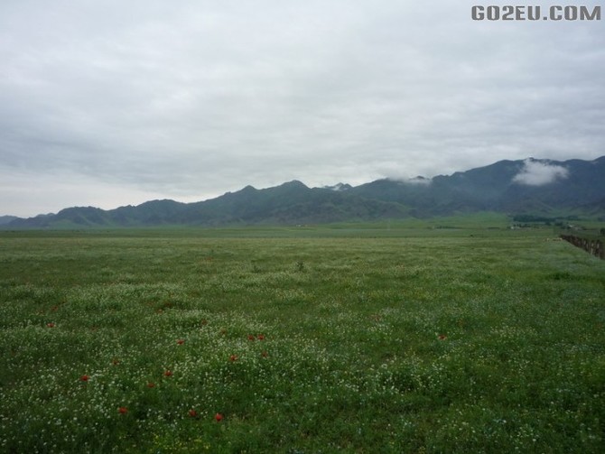 四位退休<em>姐妹</em>十四天新疆伊犁河谷<em>看</em>花之旅园满