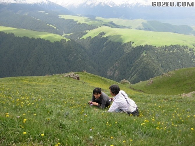 四位退休<em>姐妹</em>十四天新疆伊犁河谷<em>看</em>花之旅园满