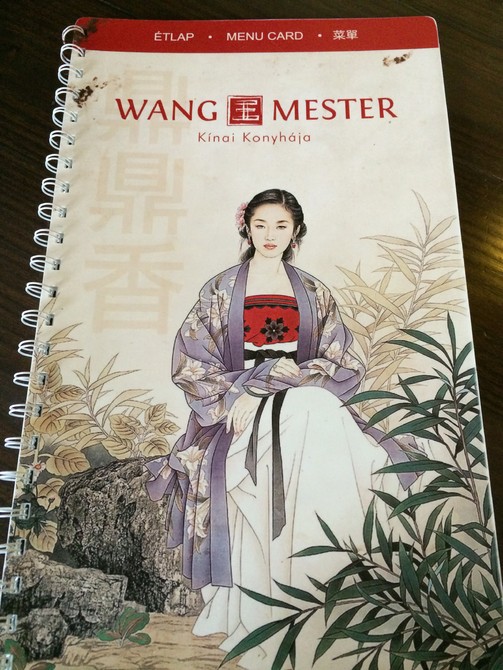 圣诞前夕的12日布达佩斯\/维也纳自驾+火车,瑞