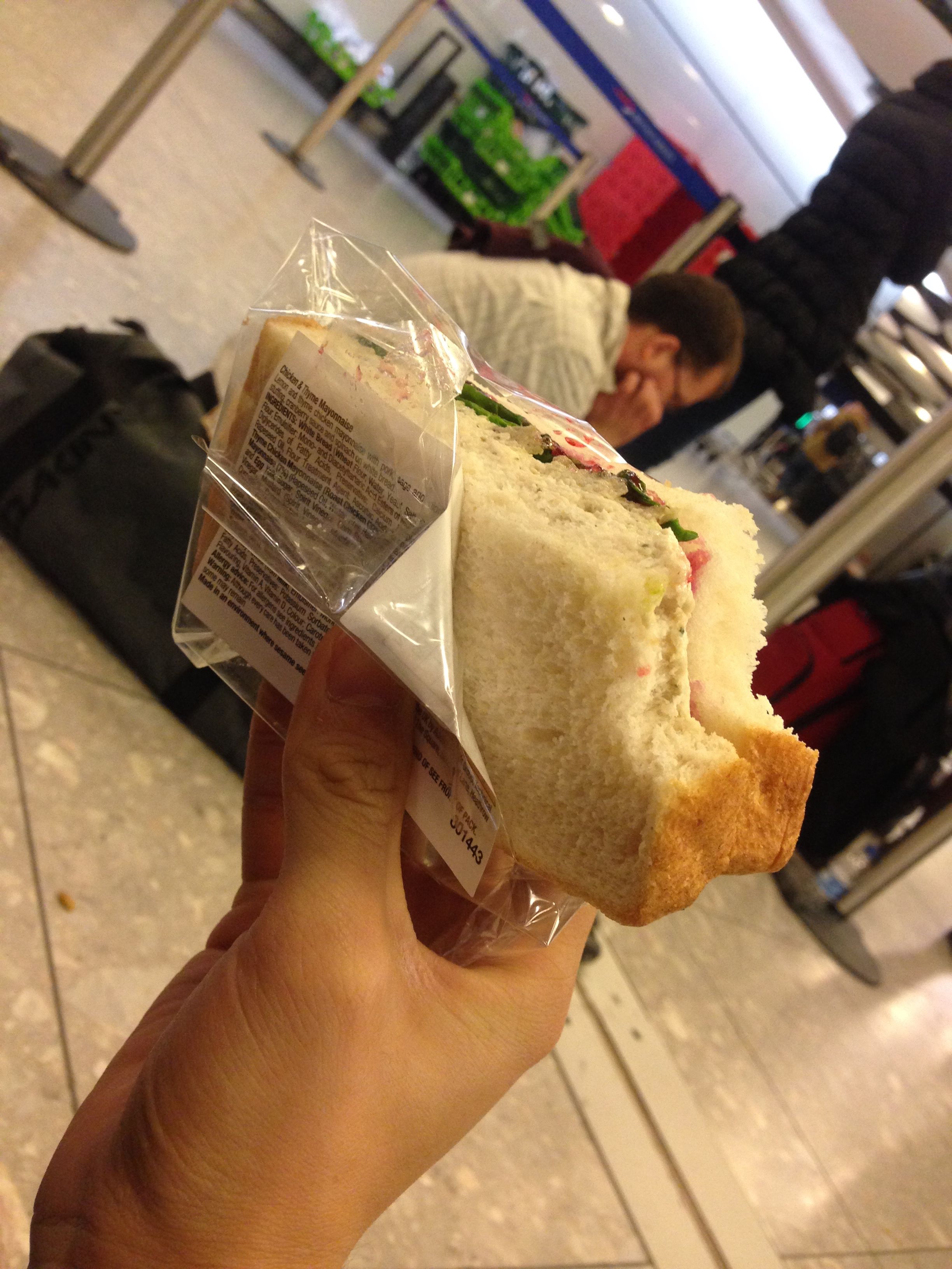 pengbishenghui的微游记_法国比利时荷兰_10