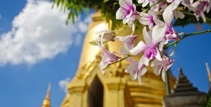 曼谷大皇宫注意事项