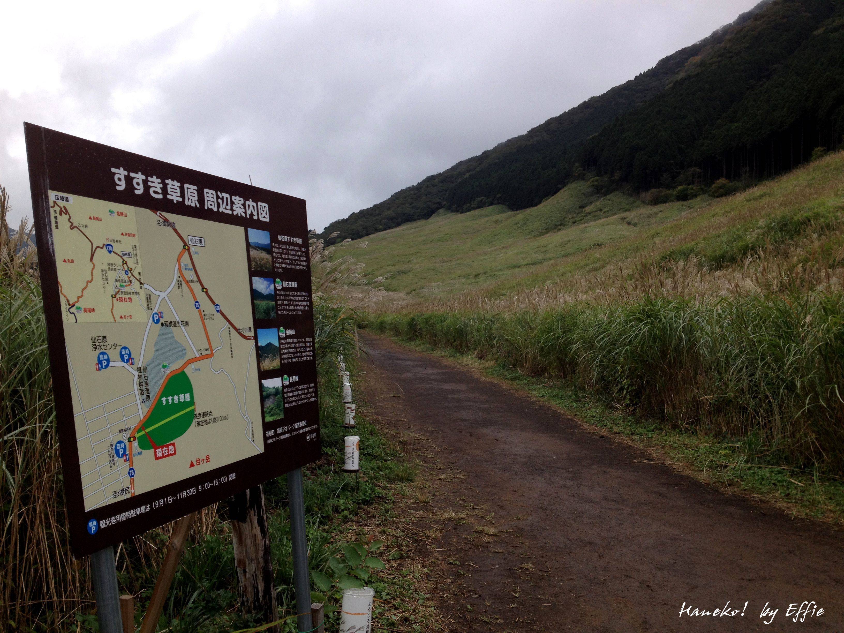 【日本7天东京镰仓箱根,更新完毕!】最后还是