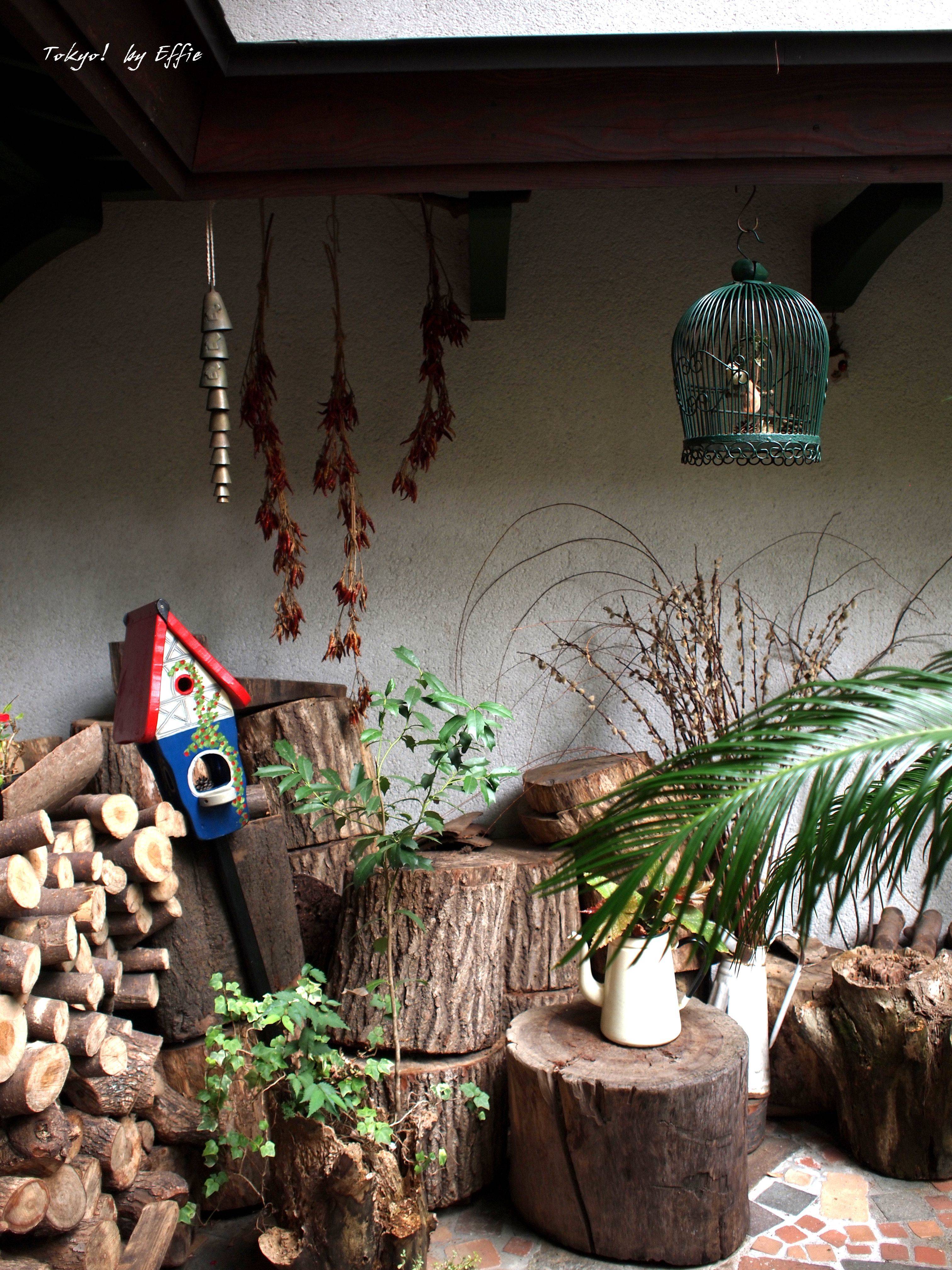 【日本7天东京镰仓箱根,更新完毕!】最后还是