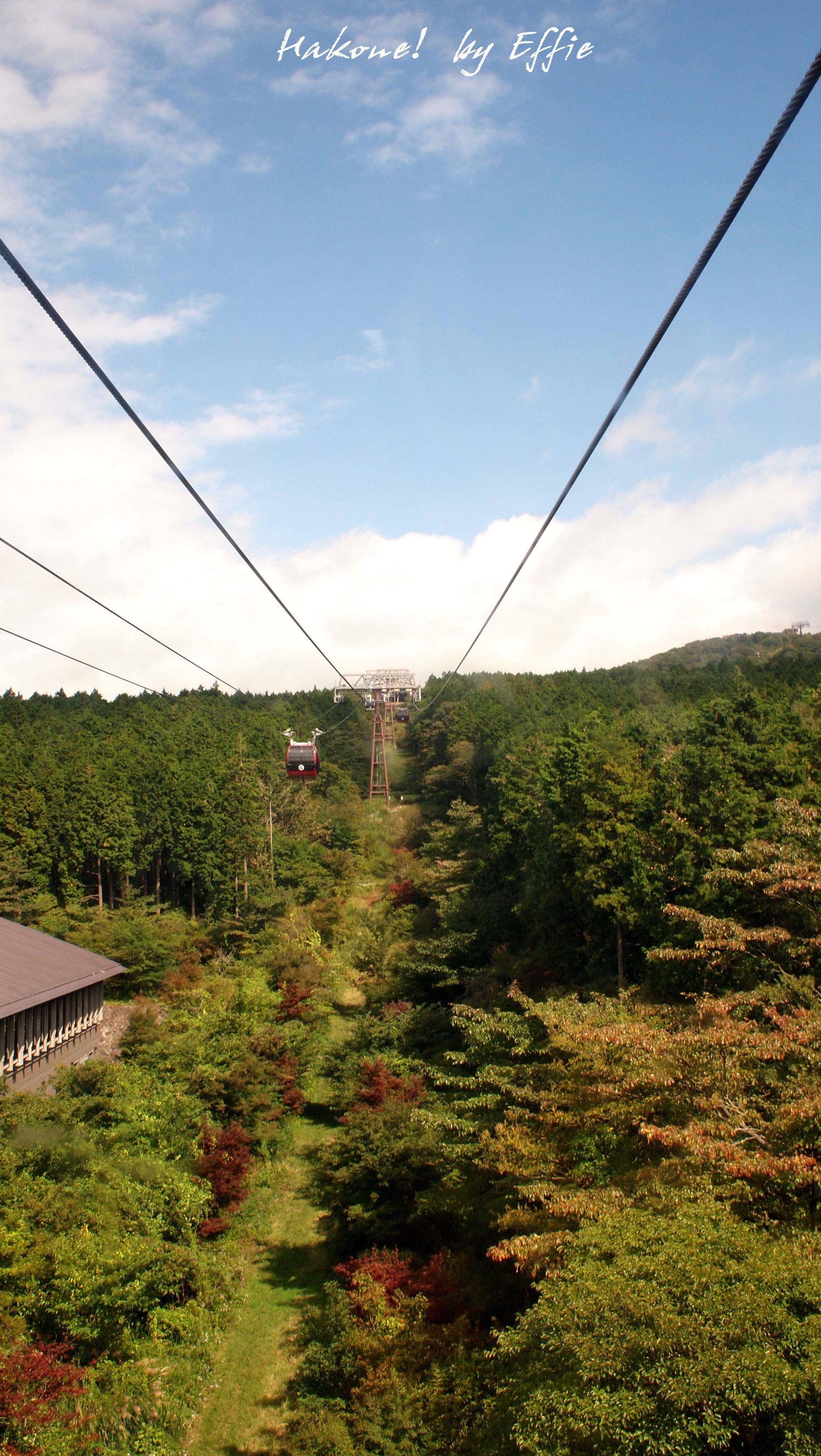 【日本7天东京镰仓箱根,更新完毕!】最后还是