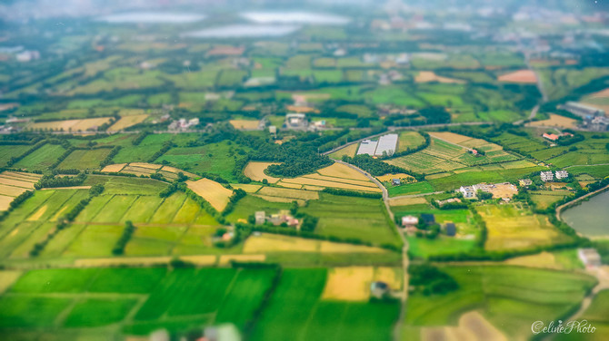 【太平洋风,留不住垦丁的云】【Celine2014台