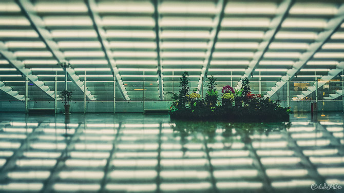 【太平洋风,留不住垦丁的云】【Celine2014台