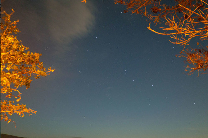 从杜马回来分享一些注意事项+上海赠送Globe