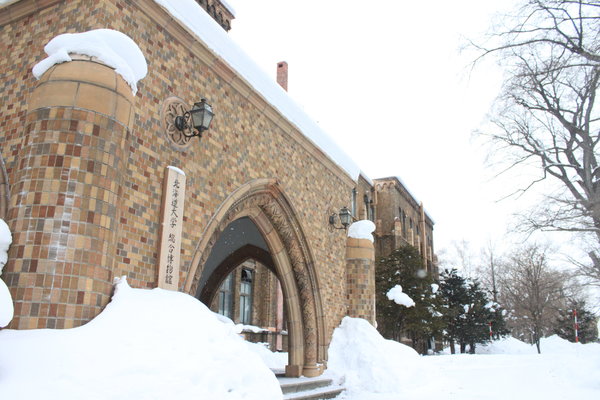 北海道什么时候去最好?