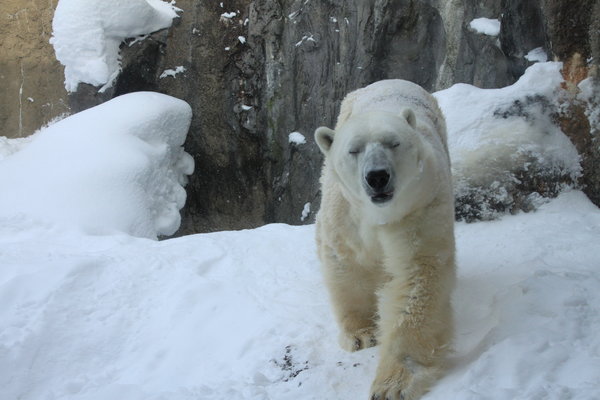 北海道什么时候去最好?