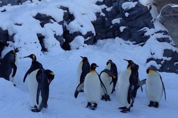 北海道什么时候去最好?