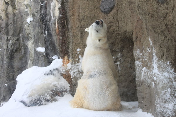 北海道什么时候去最好?