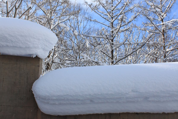 北海道什么时候去最好?
