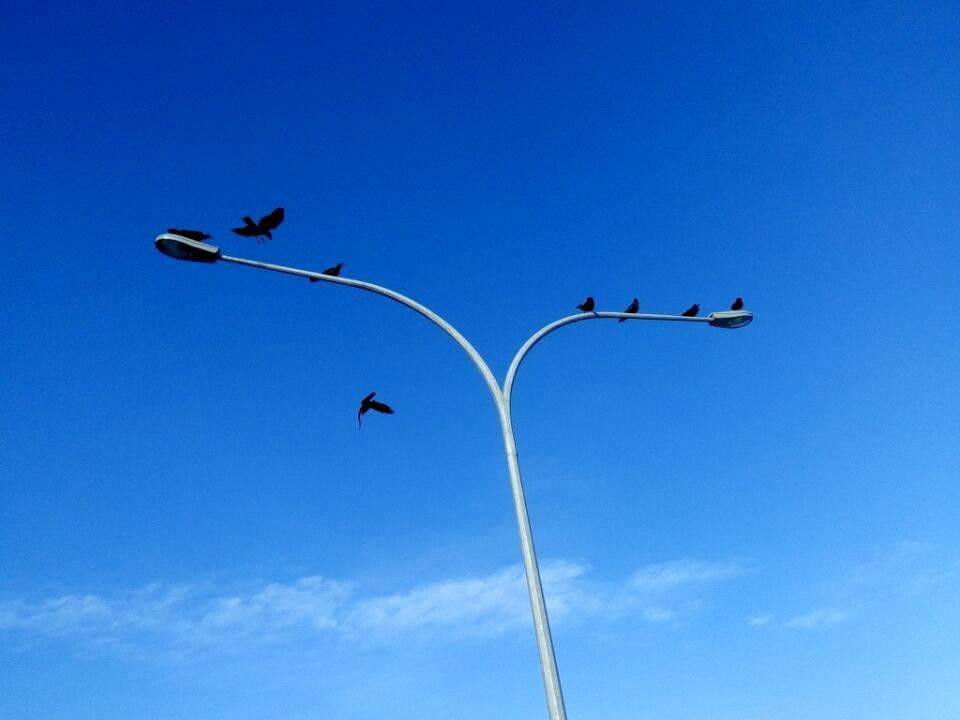 【马尔代夫】8天3800元,八个人结伴穷游(蓝天