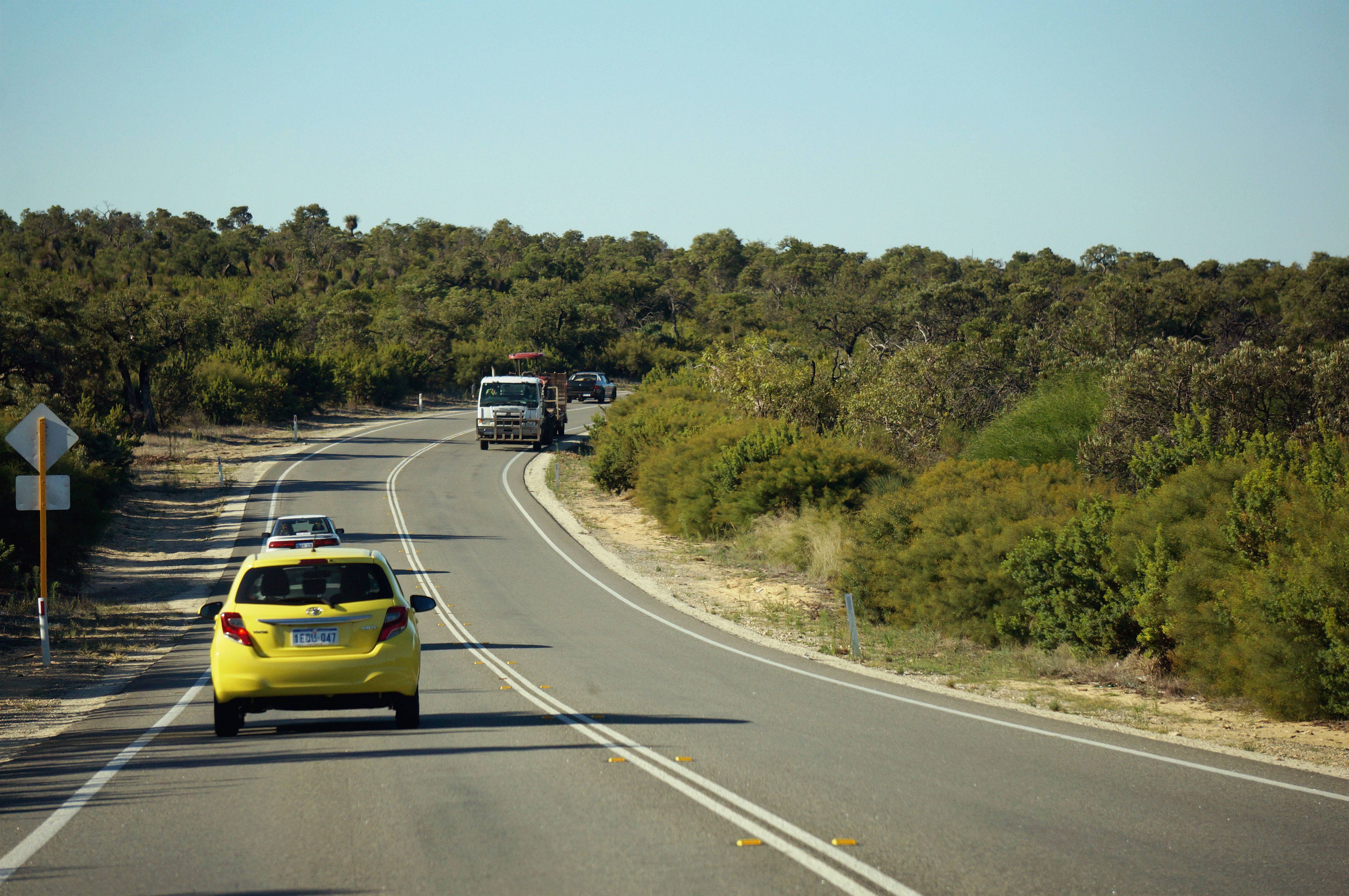 西澳珀斯弗里曼特尔野生动物园尖峰石阵44小