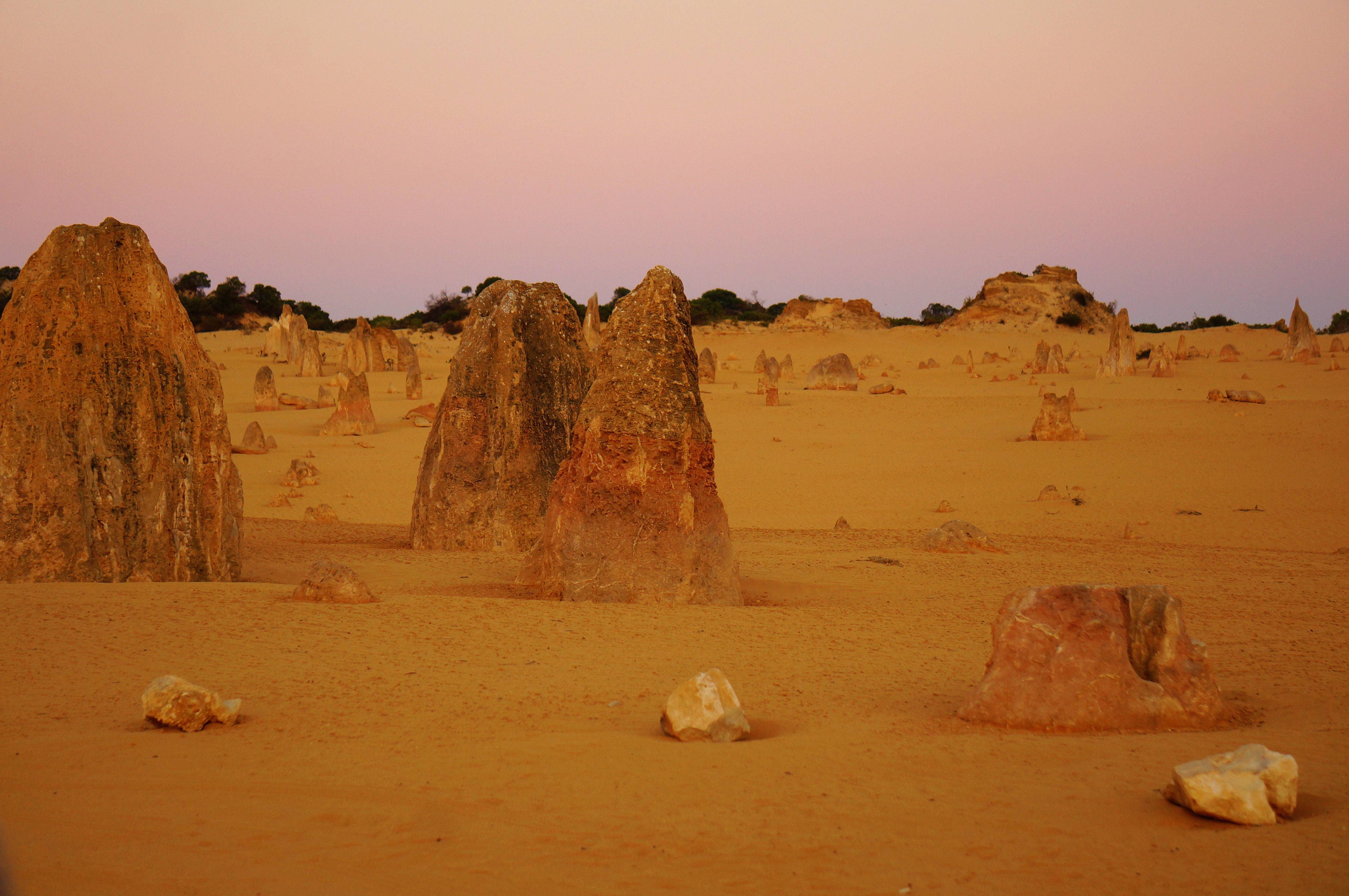 西澳珀斯弗里曼特尔野生动物园尖峰石阵44小