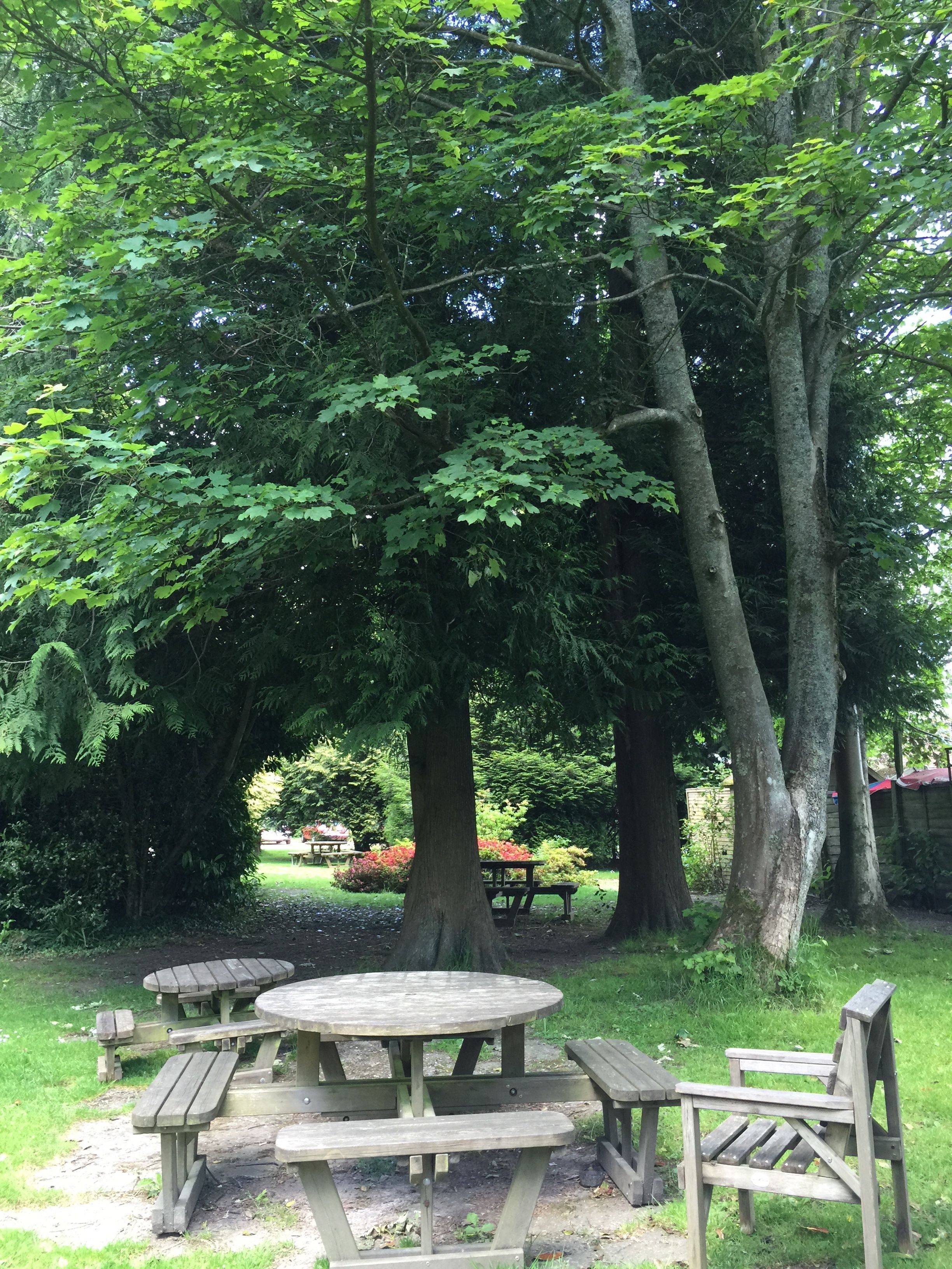 <em>布莱顿七姐妹</em>断崖-英伦行游记第六篇 - 英国/爱