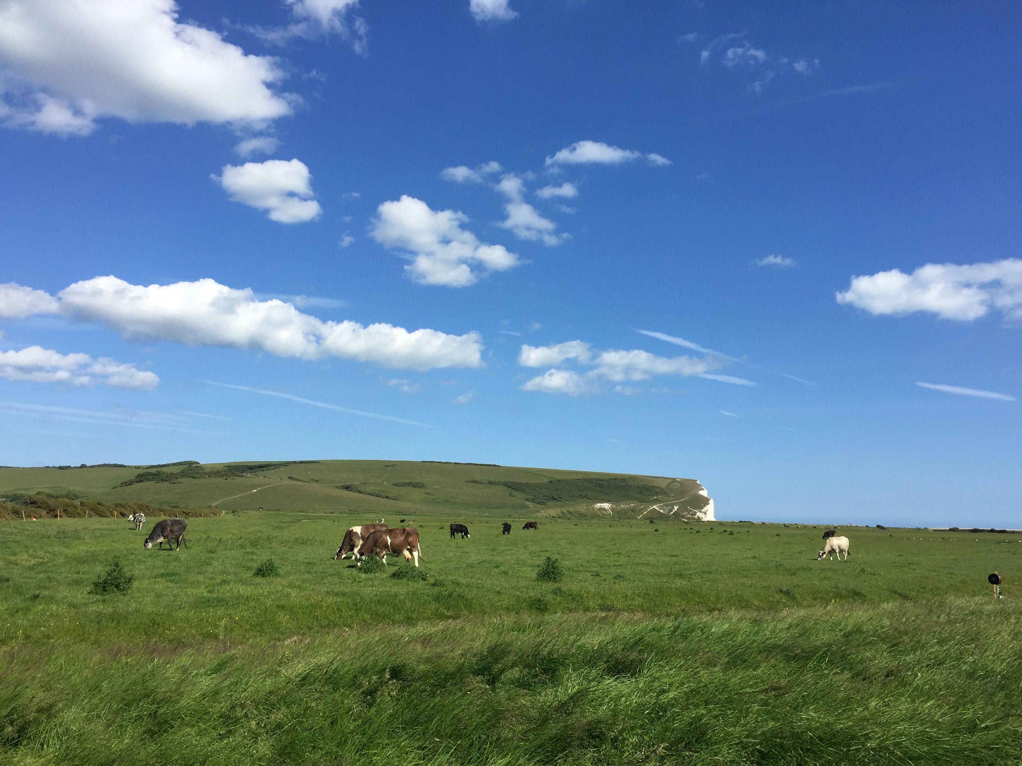 <em>布莱顿七姐妹</em>断崖-英伦行游记第六篇 - 英国/爱