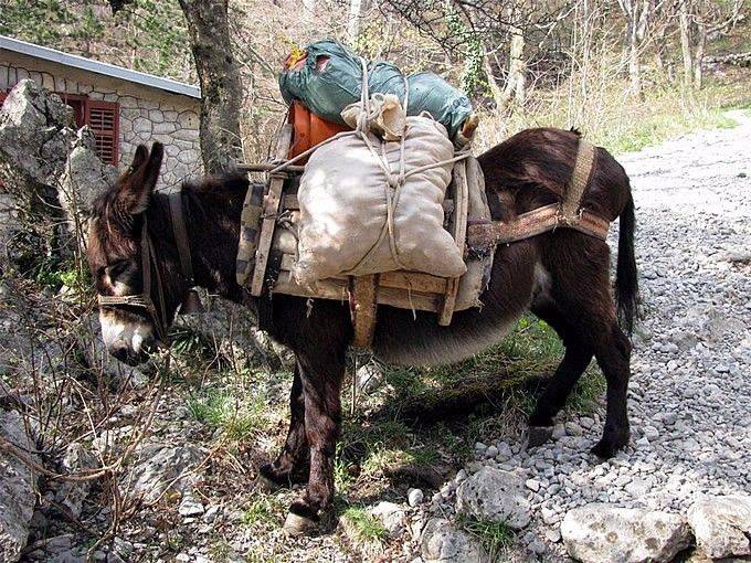 永远不去克罗地亚旅行的25个原因 - 东南欧地区