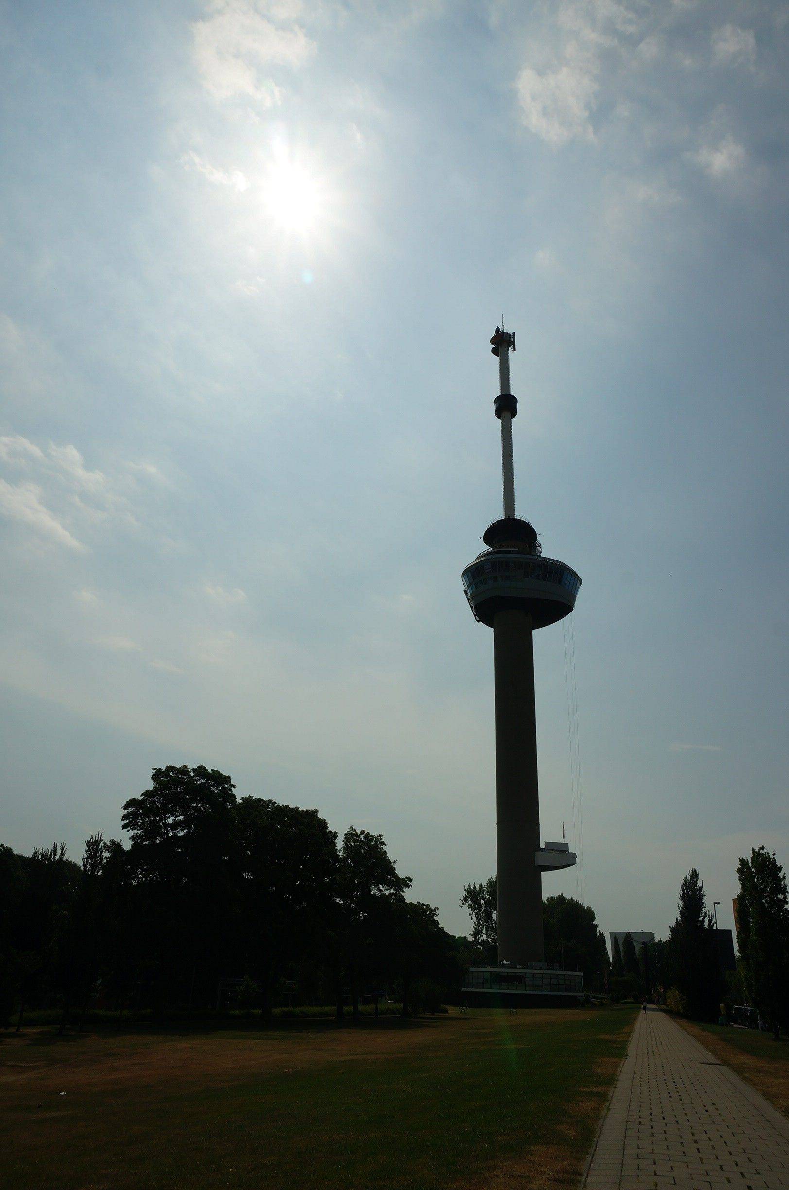 这个夏天,让我们一起从荷兰比利时开始(阿姆斯