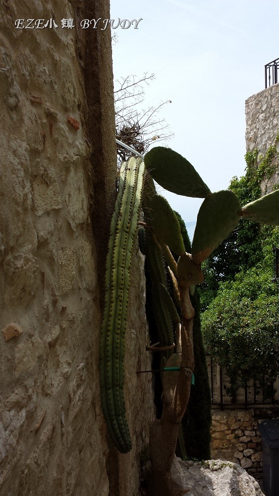 6月法国-瑞士-瑞典-挪威游,签证到游记 - 挪威\/瑞