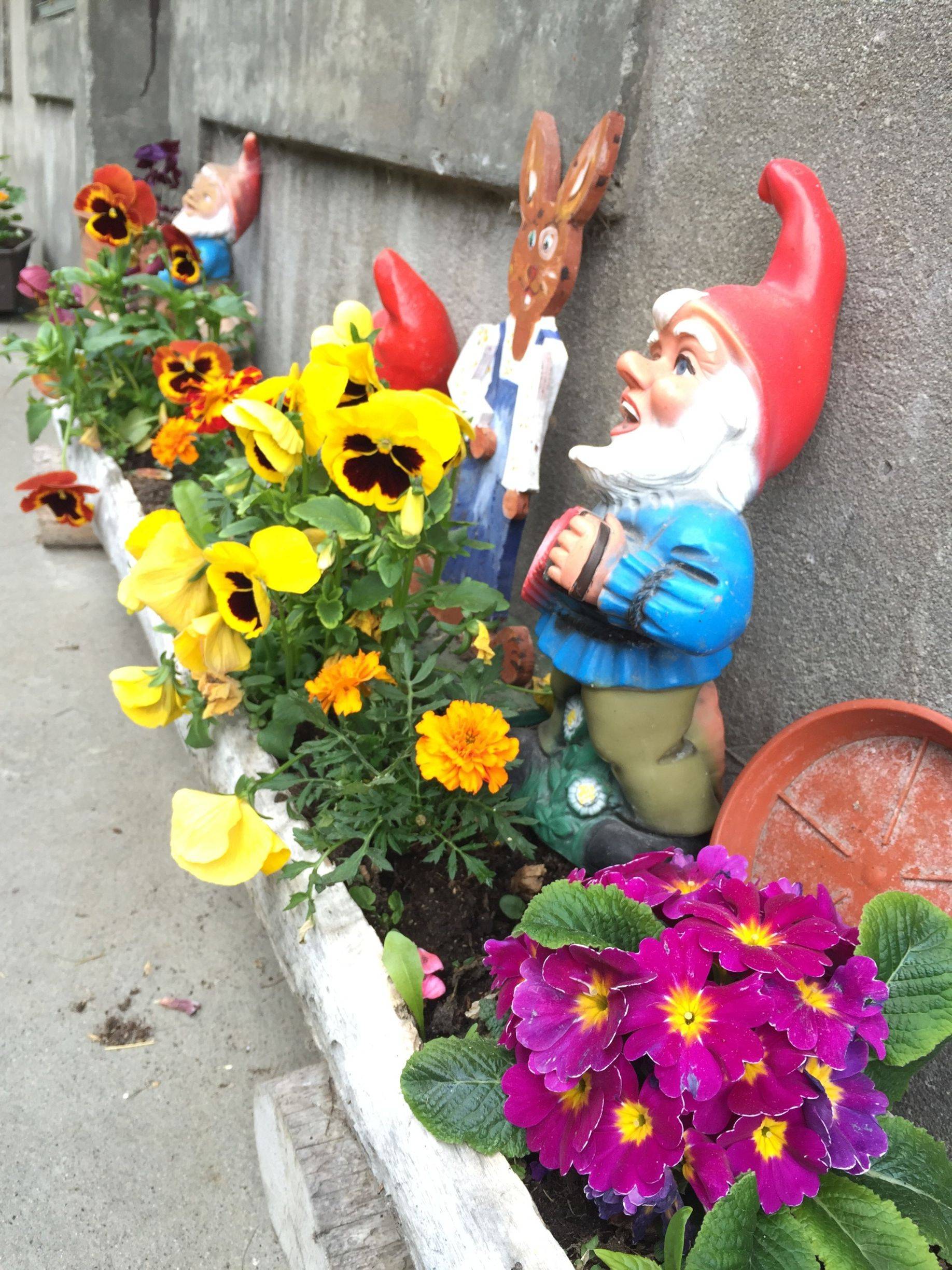 Daisy 14天瑞士、法国honeymoon ,爱上欧洲不