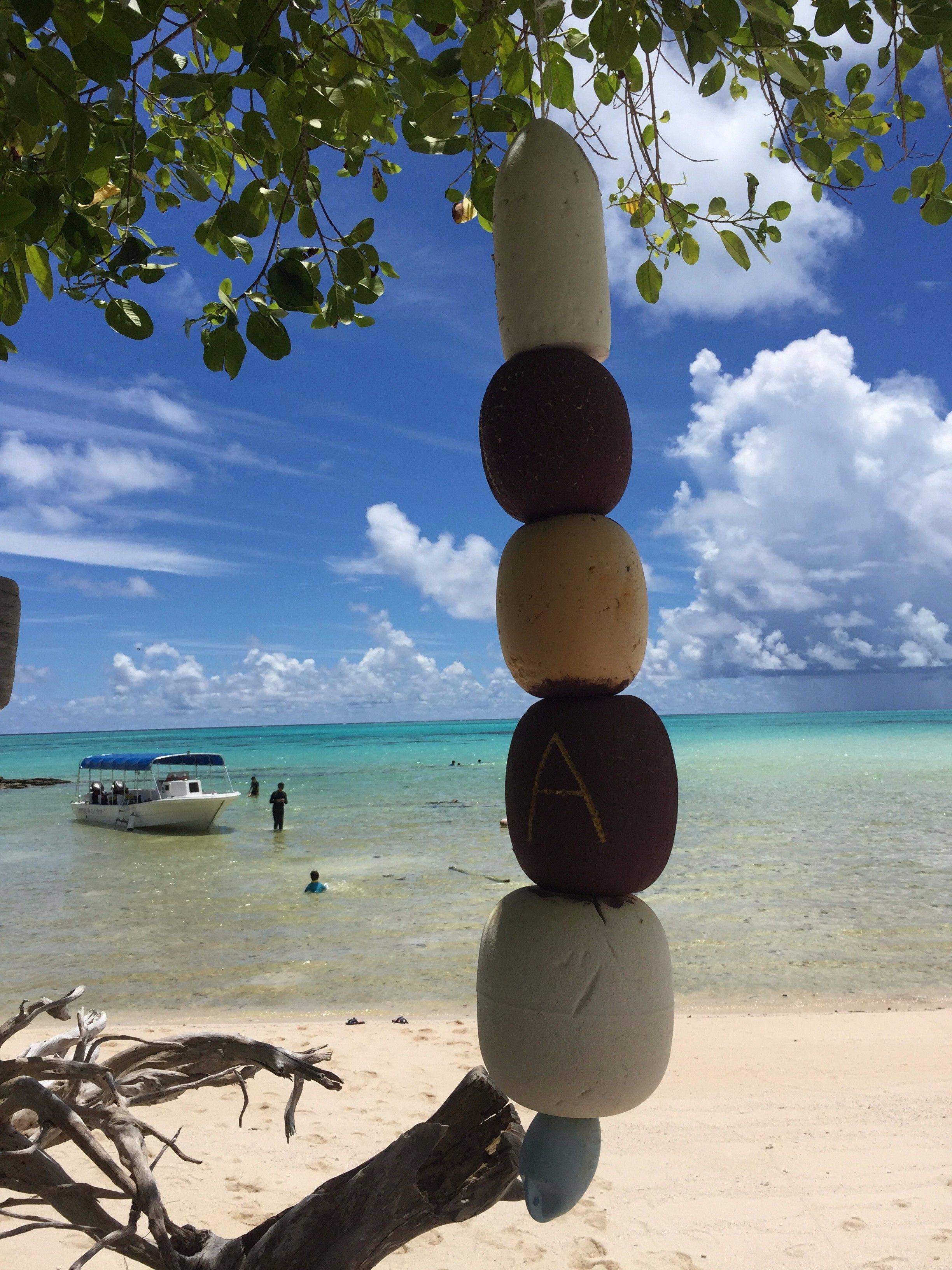 帕劳游小贴士 - 太平洋海岛 | 带孩子旅行