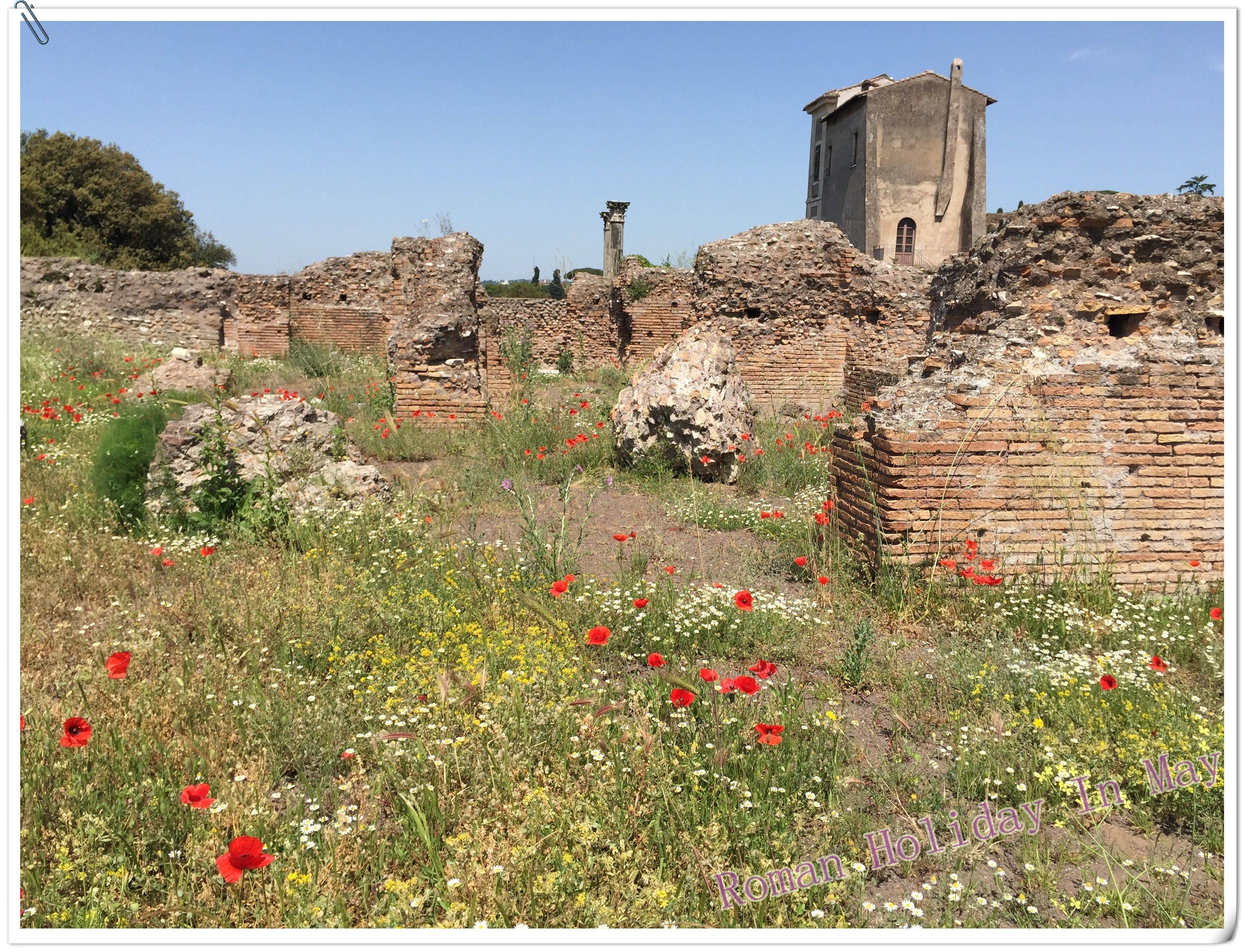 月的罗马假日经历分享,罗马卡普里佛罗伦萨五