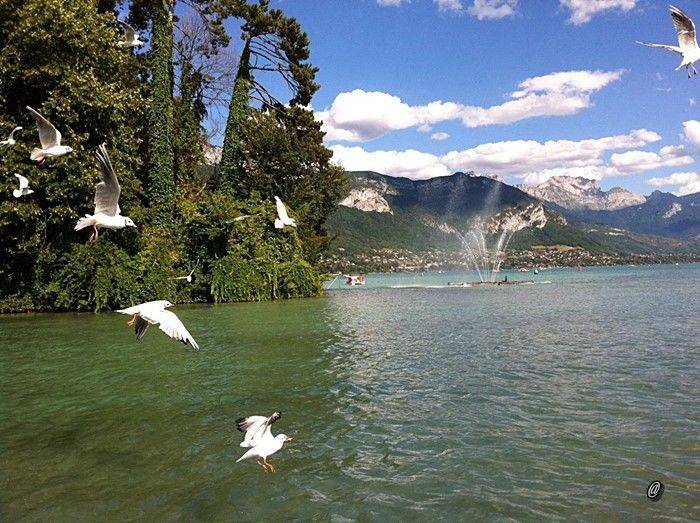 畅游阿尔卑斯山西部-自驾法国意大利乡村 (更新