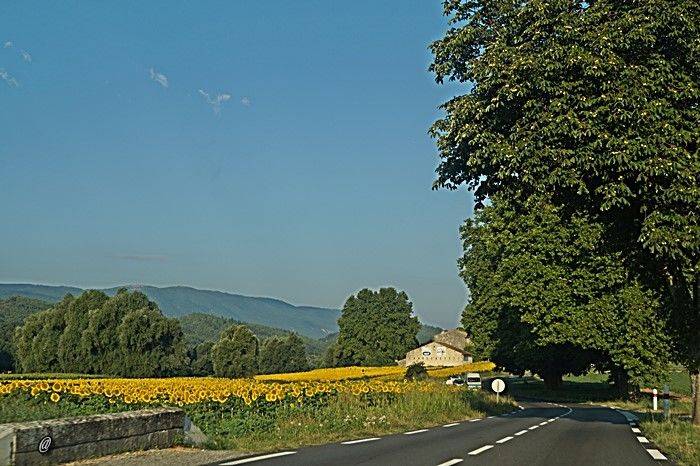 畅游阿尔卑斯山西部-自驾法国意大利乡村 (更新