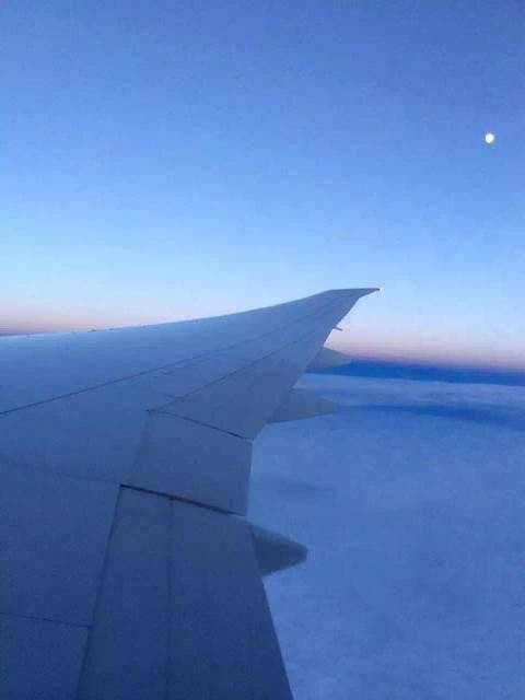 【吃喝玩乐在香港】香港旅游买什么?香港当地