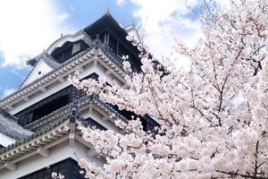 熊本城景点观光攻略 熊本城地址 熊本城门票查询预订 穷游网