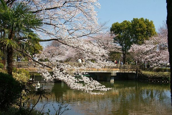 相模原市有什么值得去的景点 穷游问答