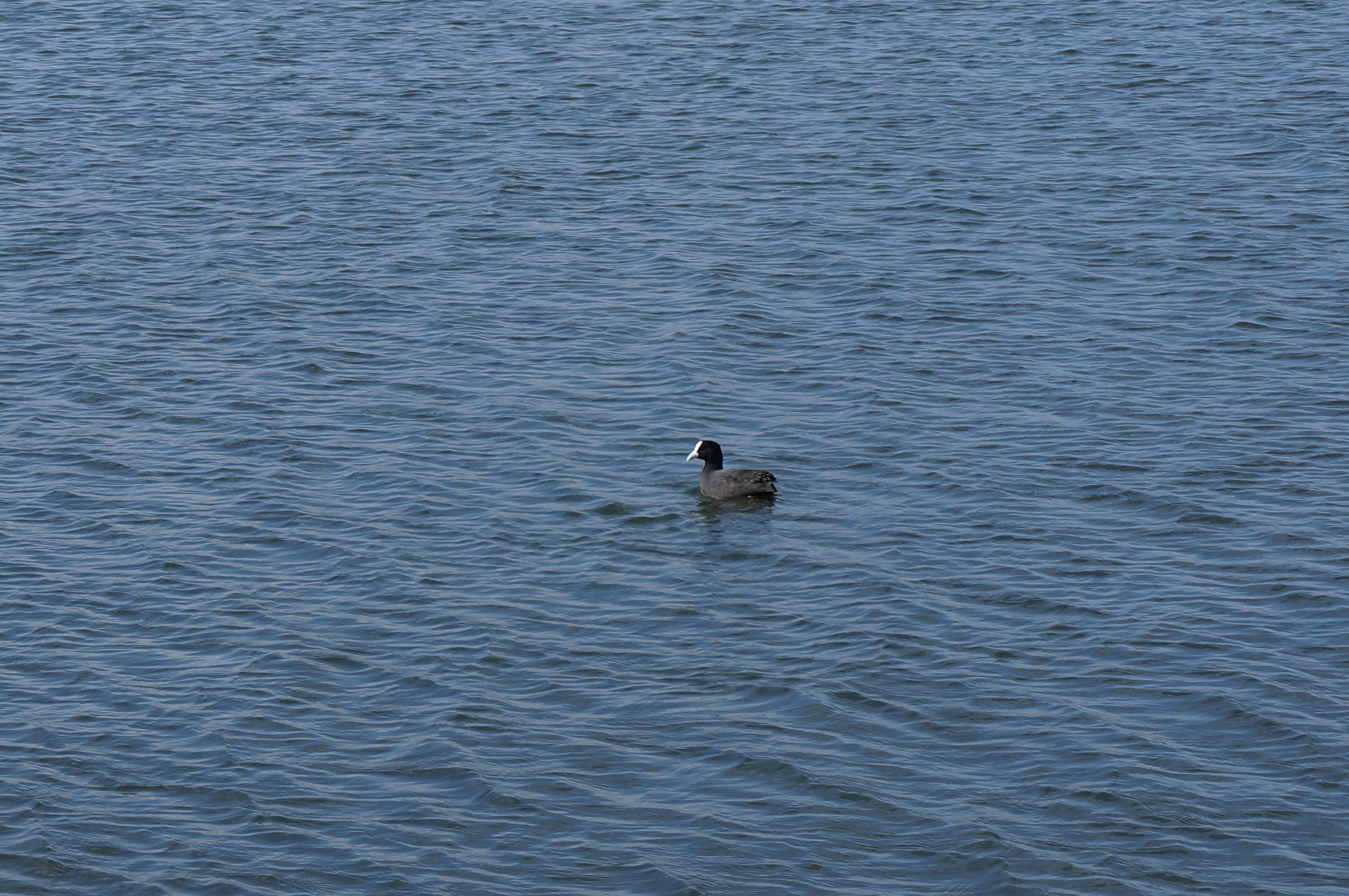 盛夏,去南半球晒个冬日暖阳